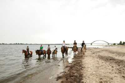 Sieben Reiterinnen auf Pferden am Meer Ausritt an den Strand von Fehmarn vom Küselhof