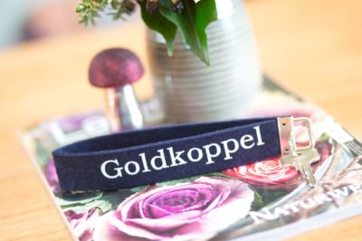 Ferienhaus Ferienwohnung Schlüsselband Goldkoppel