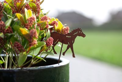 Südscheune Pferd im Blumentopf