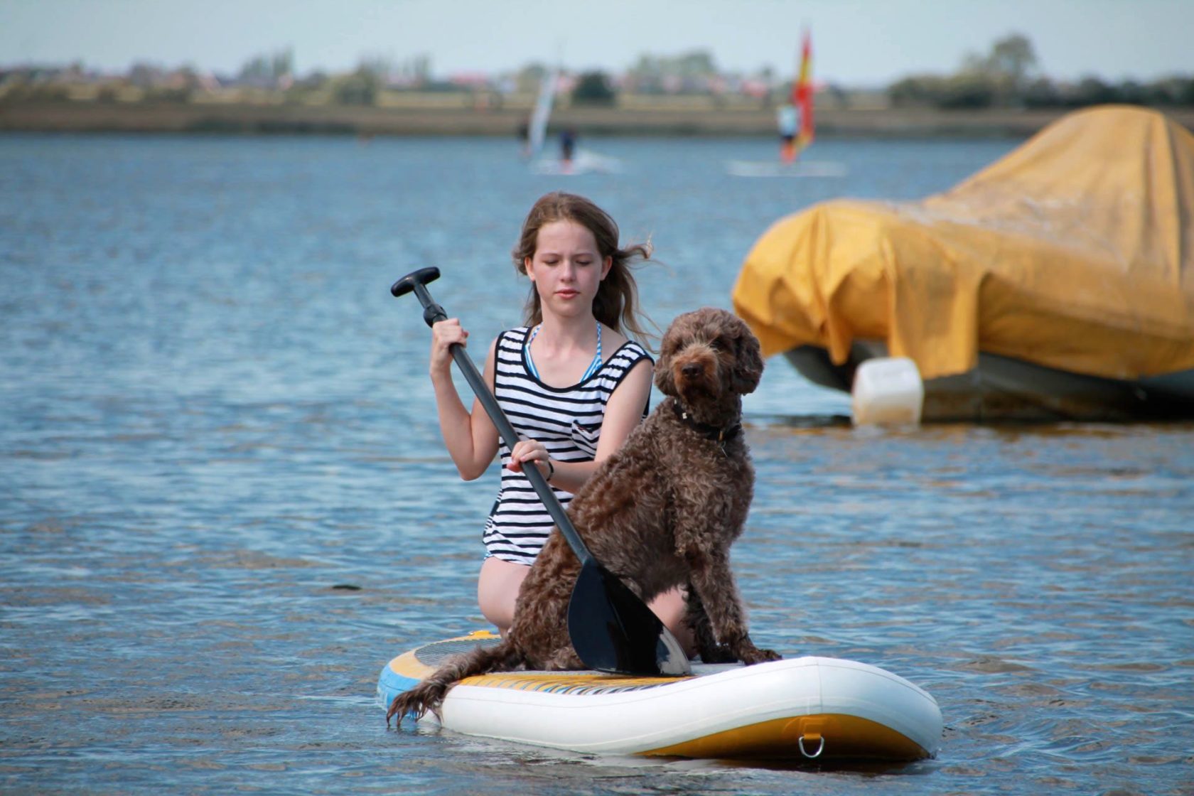 Urlaub mit Hund auf Fehmarn Küselhof